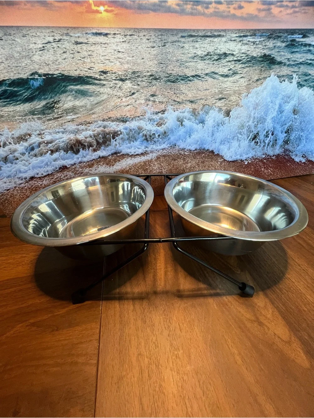 Double Stainless Steel Pet Bowl Set with Black Elevated Stand